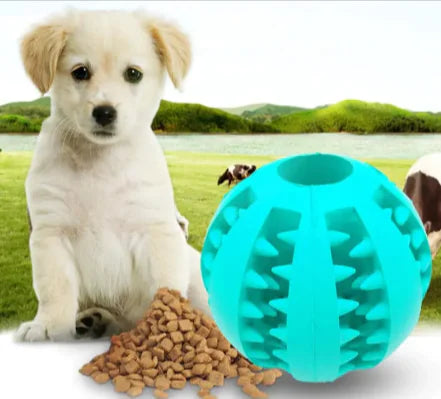 Interactive Rubber Slow Feeder Dog Ball